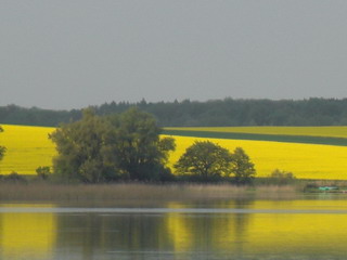 der gelbe Fleck am See